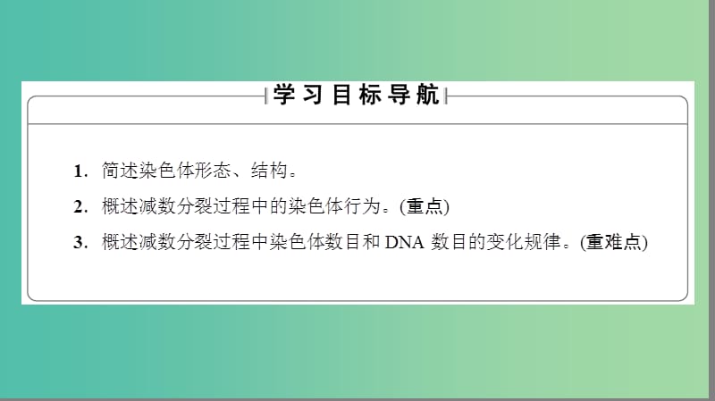 高中生物 第2章 染色体与遗传 第1节 减数分裂中的染色体行为（Ⅰ）课件 浙科版必修2.ppt_第2页