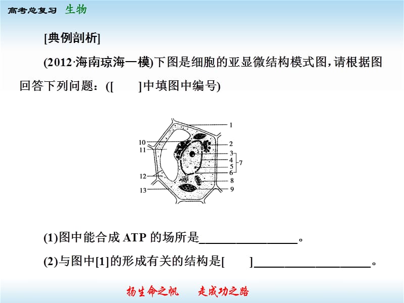 2014高考生物一轮复习课件解题方法指导.ppt_第3页