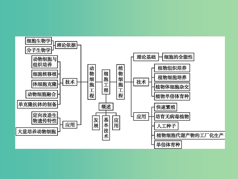 高中生物 第二章 细胞工程本章整合课件 苏教版选修3.ppt_第2页