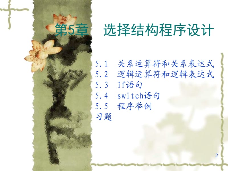 C语言教学课件之第5章选择结构程序设计.ppt_第2页