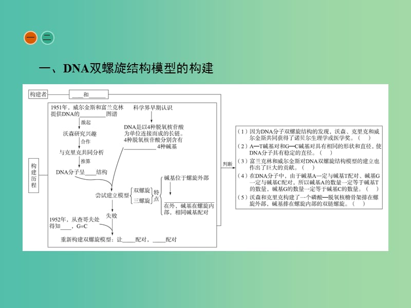 高中生物 3.2 DNA分子的结构课件 新人教版.ppt_第3页