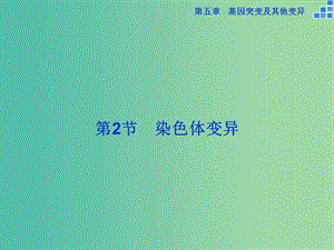 高中生物 第五章 基因突變及其他變異 第2節(jié) 染色體變異課件 新人教版必修2.ppt