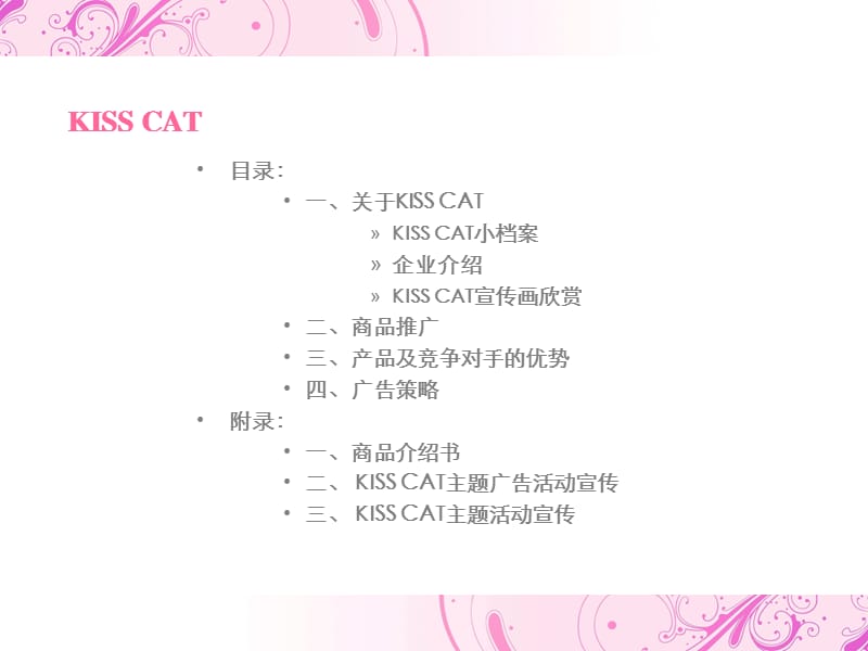 KISSCAT接吻猫推广企划书.ppt_第2页