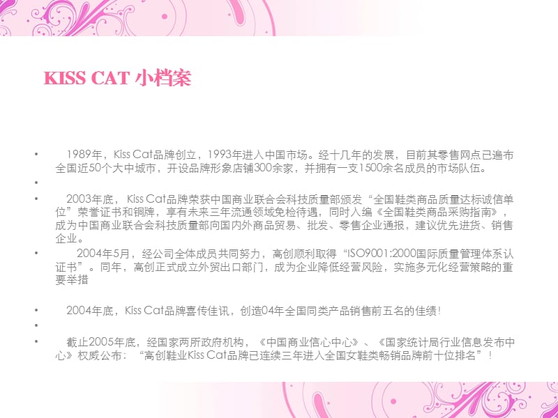 KISSCAT接吻猫推广企划书.ppt_第3页