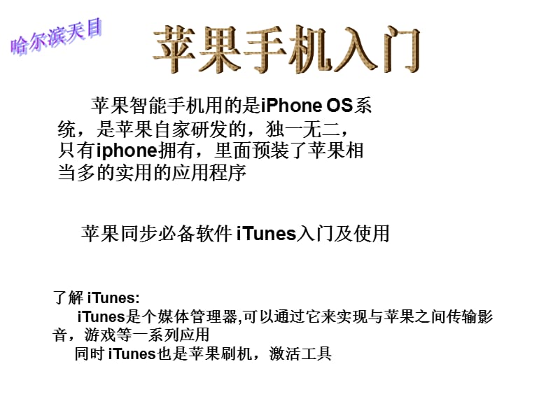 IPHONE刷机教程(苹果刷机教程).ppt_第2页