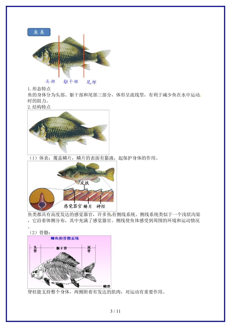 中考生物专题复习十三动物的运动和行为二脊椎动物（上）讲义新人教版.doc_第3页