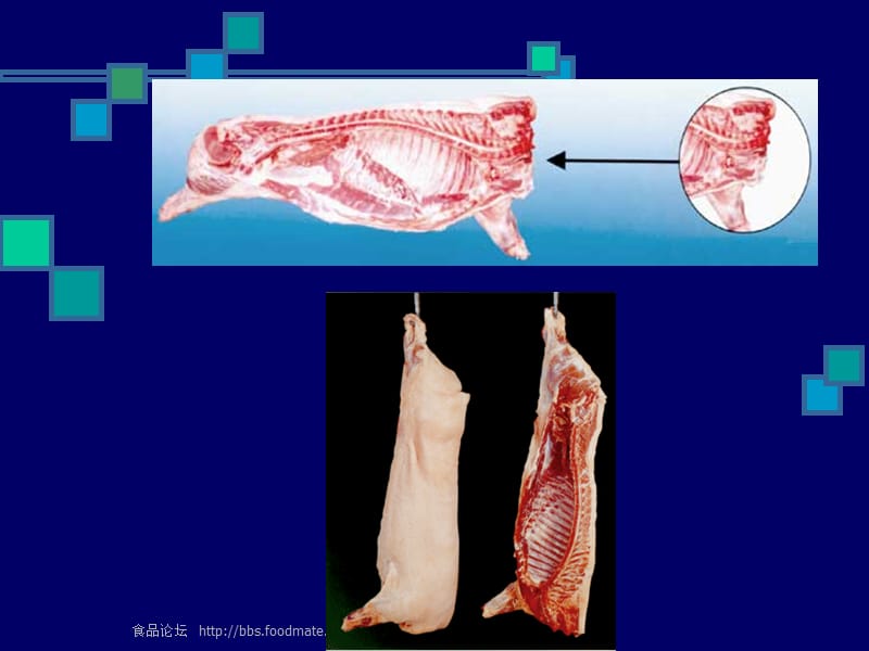 《产品图片标准》PPT课件.ppt_第3页