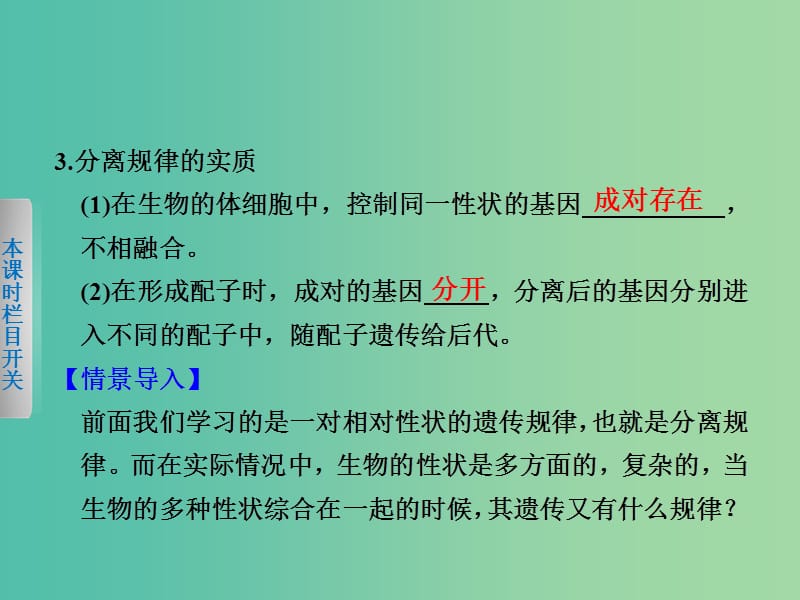 高中生物 4.2.1 基因的自由组合规律（Ⅰ）课件 北师大版必修2.ppt_第3页