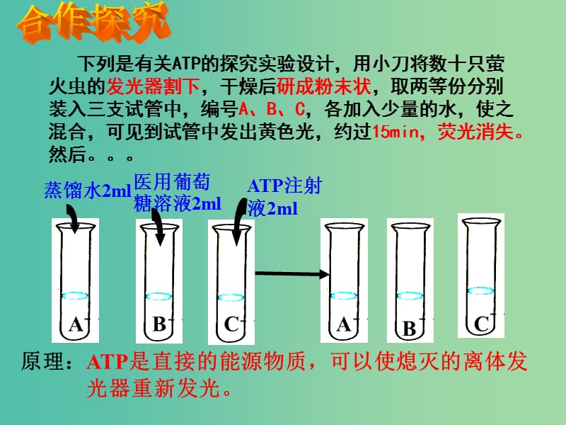 高中生物 5.2 细胞的能量“通货”-ATP复习课件 新人教版必修1.ppt_第3页