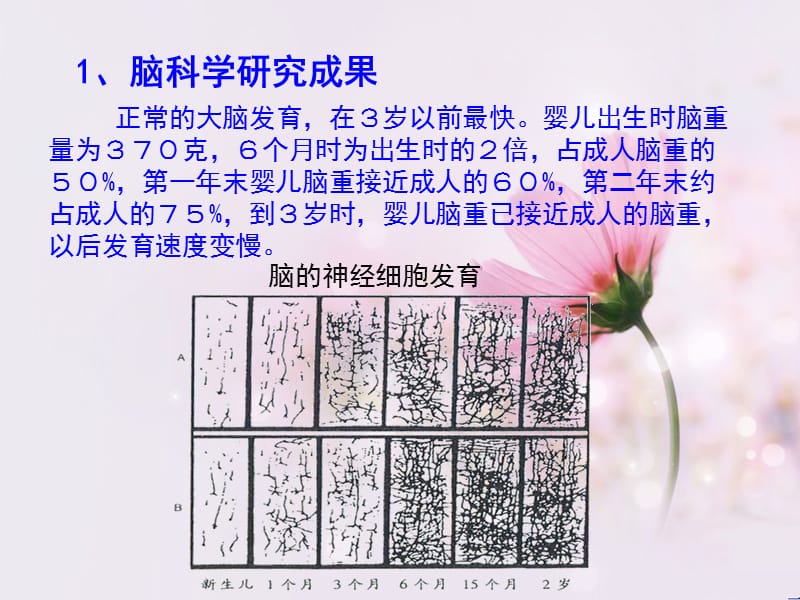 《婴幼儿发展特点》PPT课件.ppt_第3页