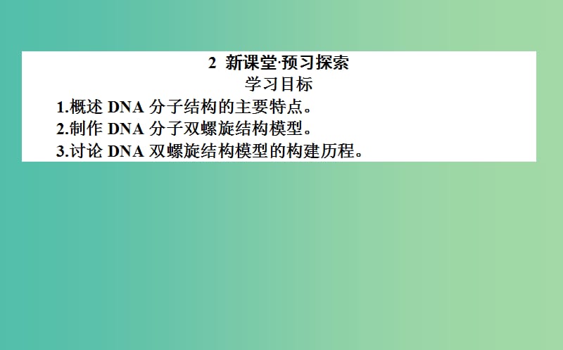 高中生物 3.2《DNA分子的结构》课件 新人教版必修2.ppt_第3页