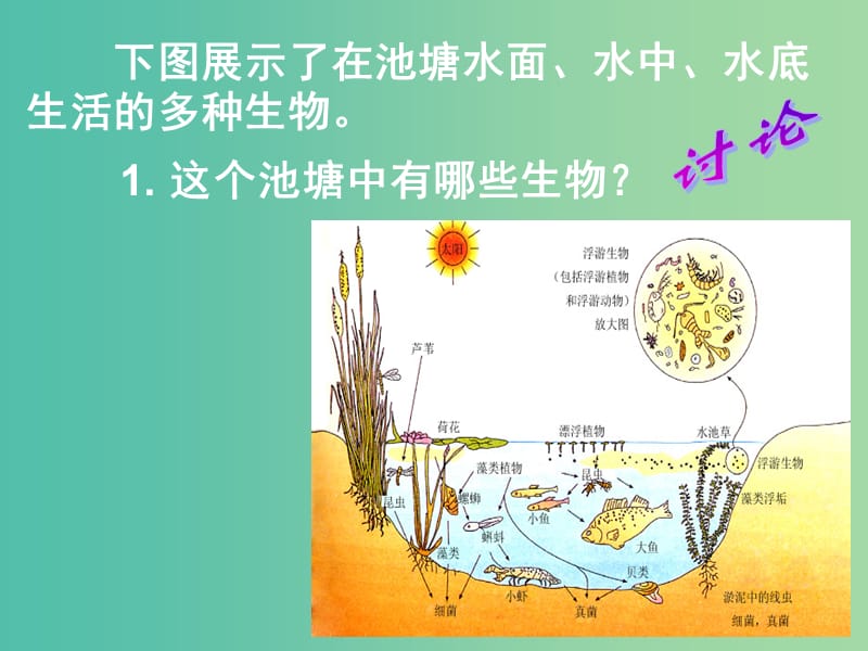 高中生物 第四章 第三节 群落的结构课件 新人教版必修3.ppt_第1页