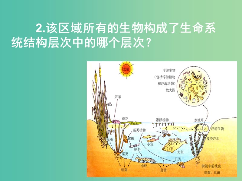 高中生物 第四章 第三节 群落的结构课件 新人教版必修3.ppt_第2页