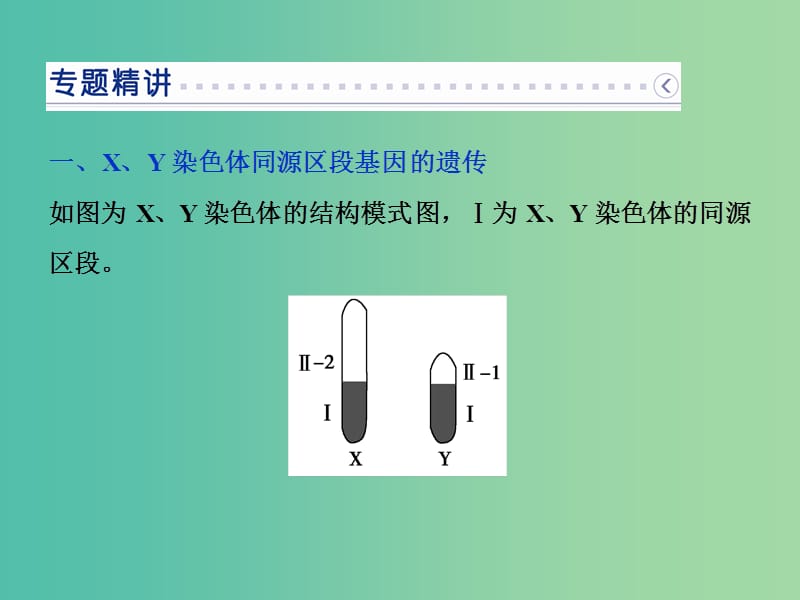 高中生物 第二章 基因和染色体的关系 微专题讲座2 判断基因位置的相关实验设计课件 新人教版必修2.ppt_第2页