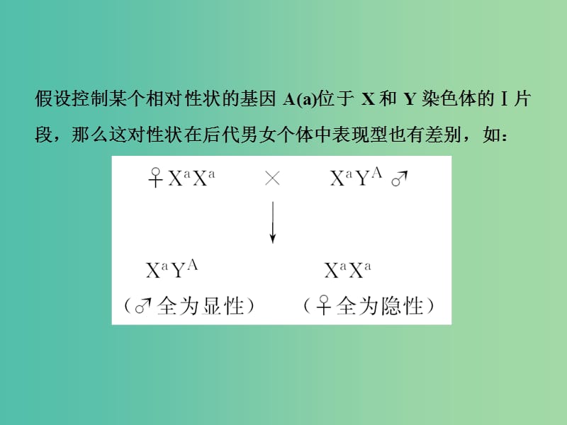 高中生物 第二章 基因和染色体的关系 微专题讲座2 判断基因位置的相关实验设计课件 新人教版必修2.ppt_第3页