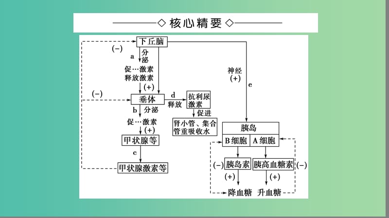 高中生物第2章动物和人体生命活动的调节第3节下丘脑在生命活动调节中的作用微专题突破课件新人教版.ppt_第2页