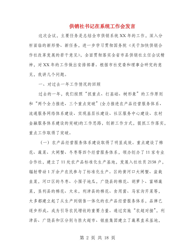 供销社书记在系统工作会发言.doc_第2页