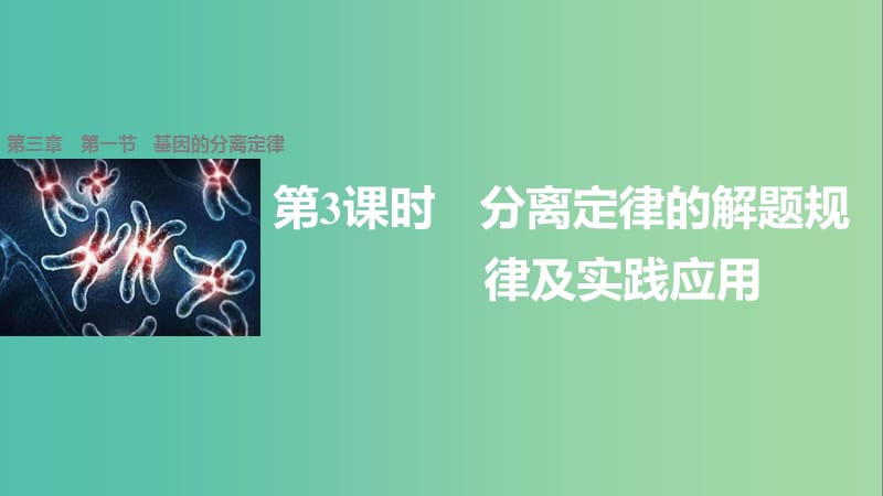 高中生物 3.1 分离定律的解题规律及实践应用（第3课时）课件 苏教版必修2.ppt_第1页