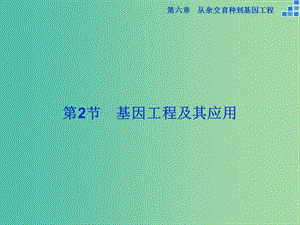 高中生物 第六章 從雜交育種到基因工程 第2節(jié) 基因工程及其應(yīng)用課件 新人教版必修2.ppt