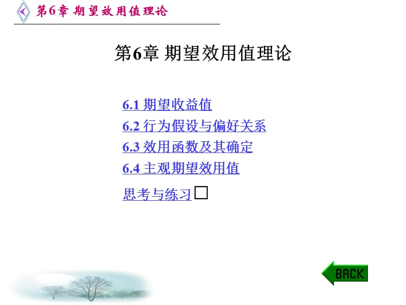 《期望效用值理論》PPT課件.ppt_第1頁