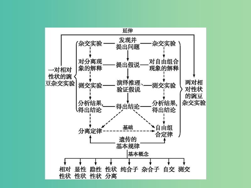 高中生物 第1章 遗传因子的发现本章整合课件 新人教版必修2.ppt_第2页