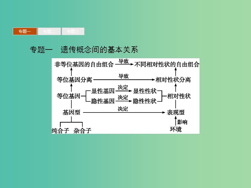 高中生物 第1章 遗传因子的发现本章整合课件 新人教版必修2.ppt_第3页