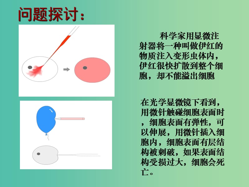 高中生物 3.1 细胞膜—系统的边界课件2 新人教版必修1.ppt_第1页