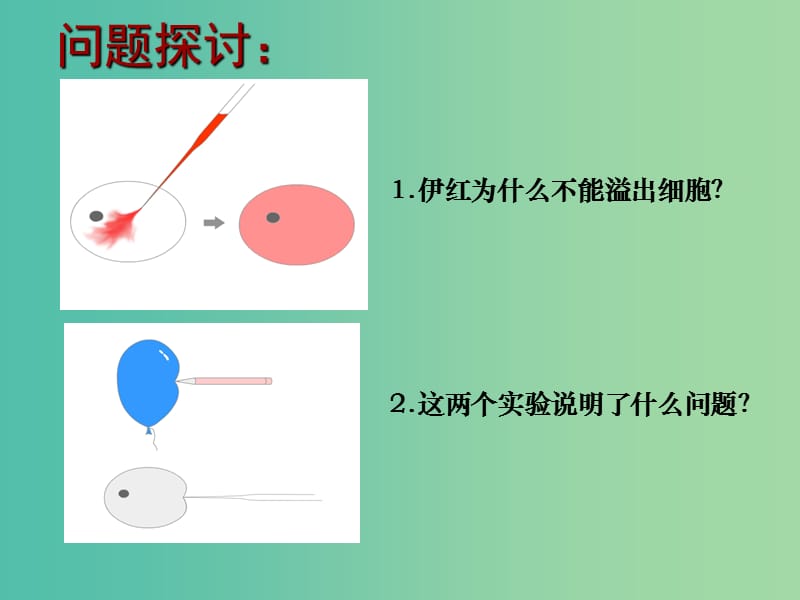 高中生物 3.1 细胞膜—系统的边界课件2 新人教版必修1.ppt_第2页