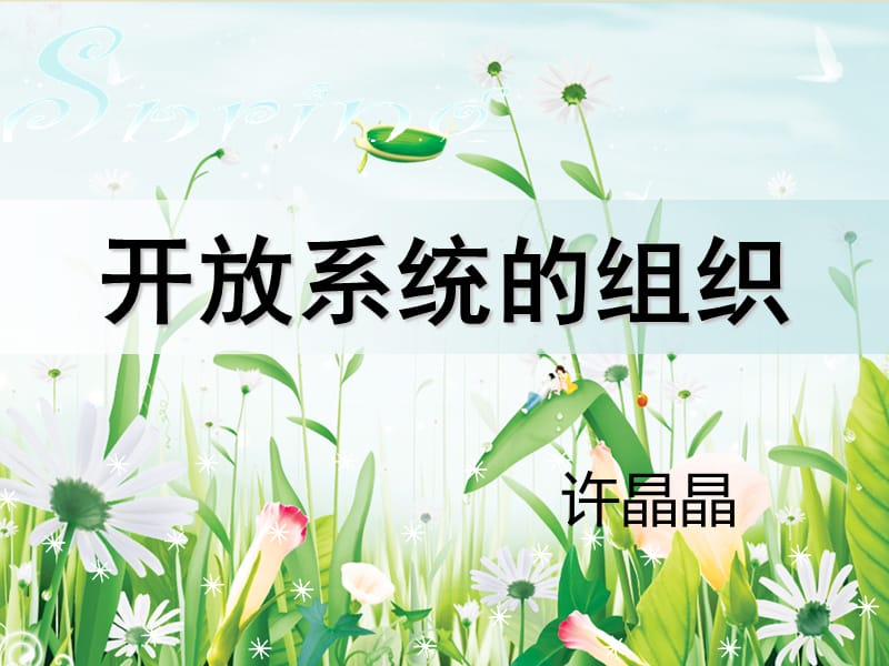 《开放系统组织》PPT课件.ppt_第1页