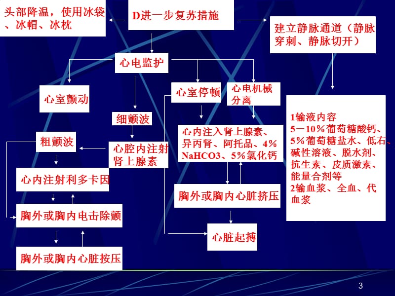 常见危重急症抢救步骤简图ppt课件_第3页