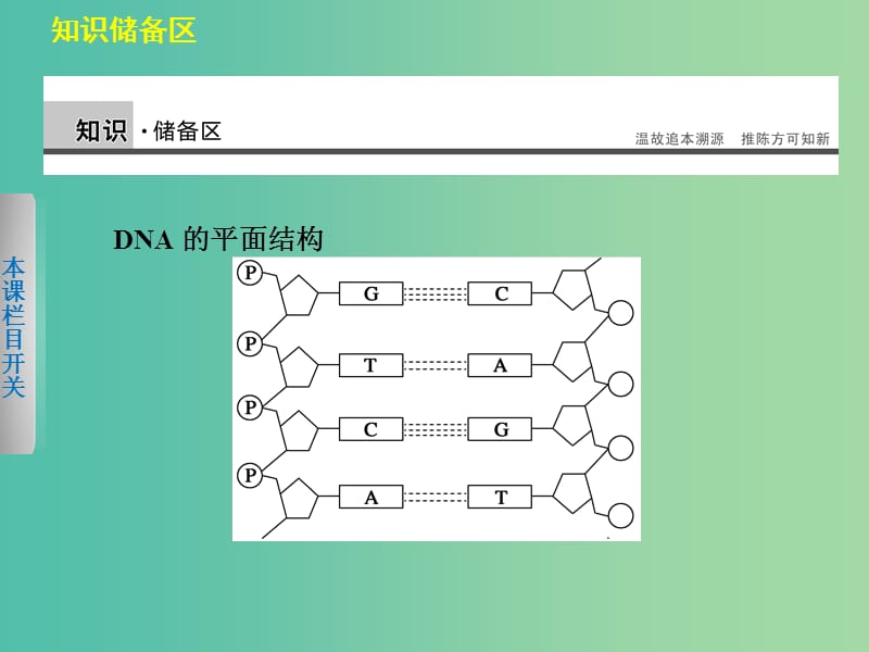 高中生物 4.1 基因工程的基本原理和技术课件 北师大版选修3.ppt_第3页