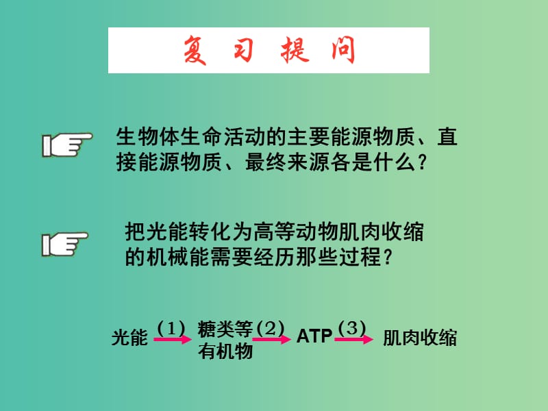 高中生物 5.3 ATP的主要来源——细胞呼吸课件 新人教版必修1.ppt_第2页