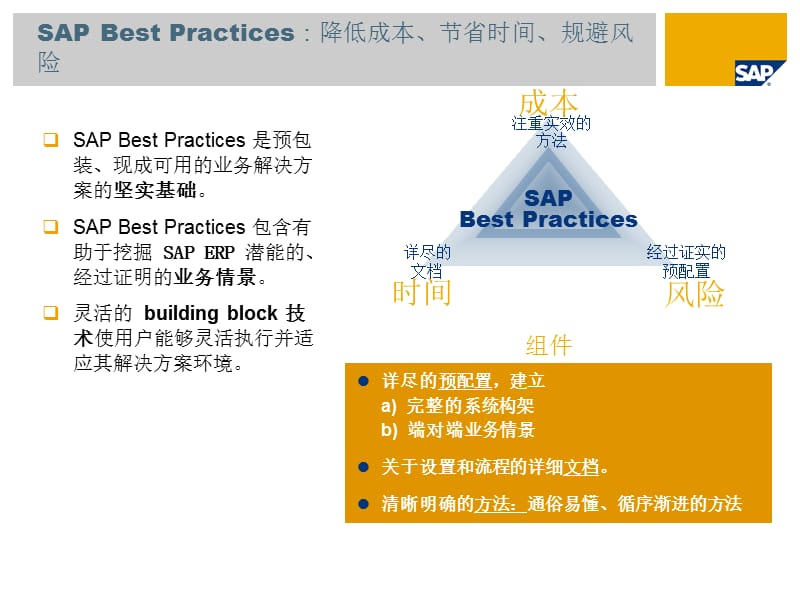 SAP最佳实践介绍(中文版本).ppt_第3页