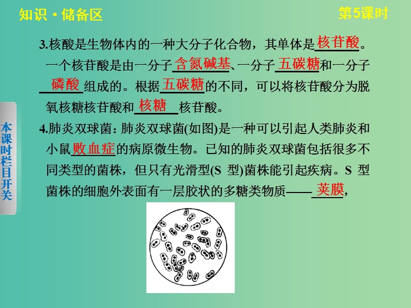 高中生物 2.2.1 DNA贮存遗传信息（Ⅰ） 课件 北师大版必修2.ppt_第3页