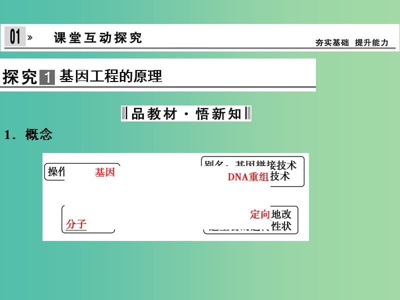 高中生物 6.2基因工程及其应用课件 新人教版必修2.ppt_第3页