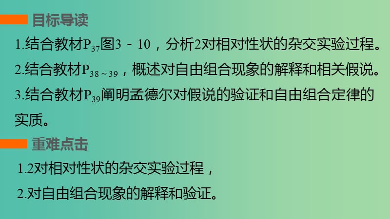 高中生物 第三章 遗传和染色体 第8课时 基因的自由组合定律课件 苏教版必修2.ppt_第2页