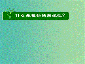 高中生物 第三章 第一節(jié) 植物生長素的發(fā)現(xiàn)課件 新人教版必修3.ppt