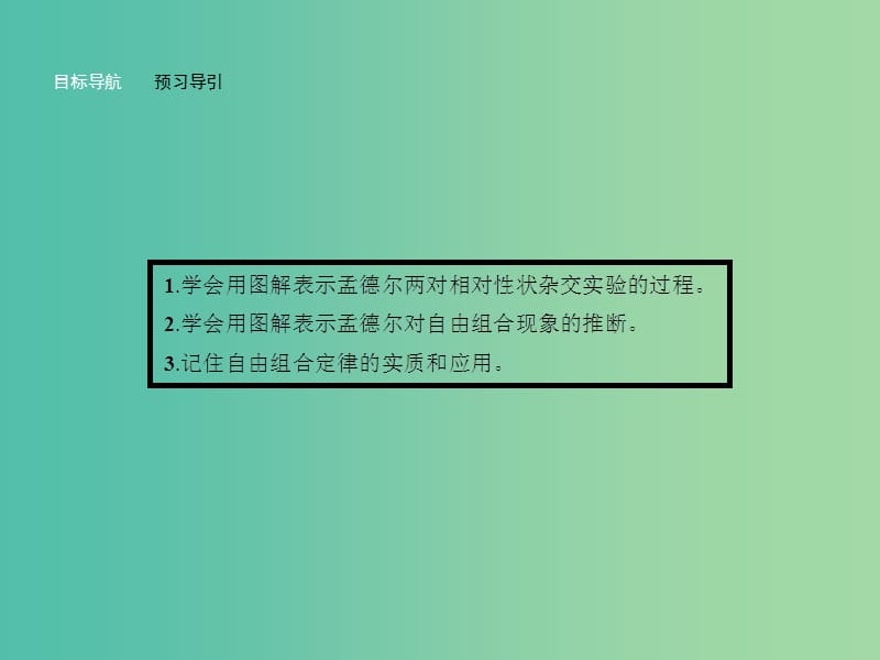 高中生物 3.2.1 基因的自由组合定律课件 苏教版必修2.ppt_第3页