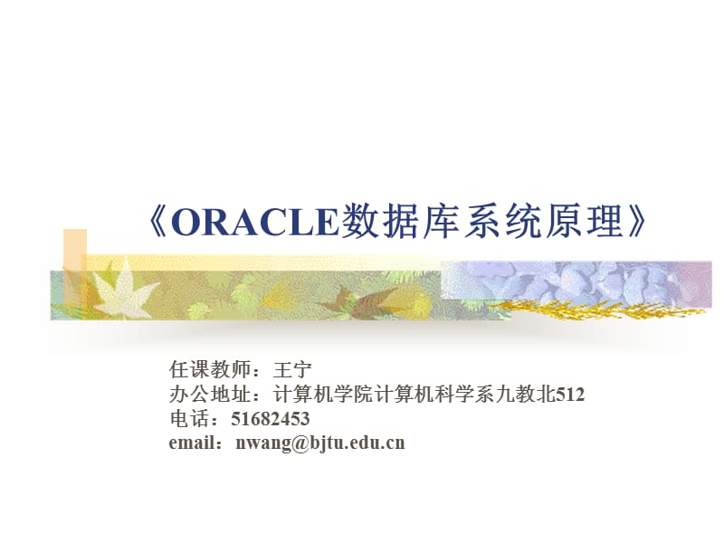 《ORACLE数据库系统原理》.ppt_第1页