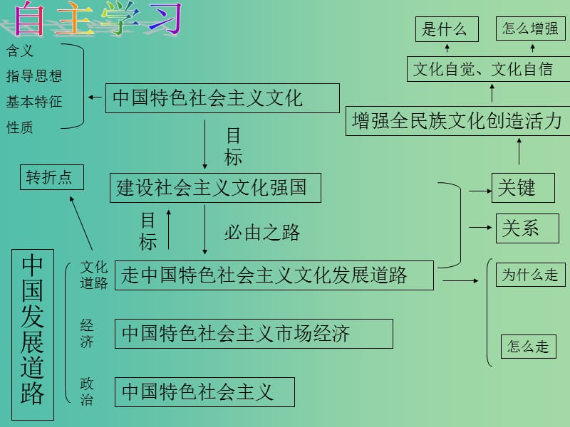 高考政治一轮复习 文化生活 第九课 建设社会主义文化强国课件.ppt_第3页