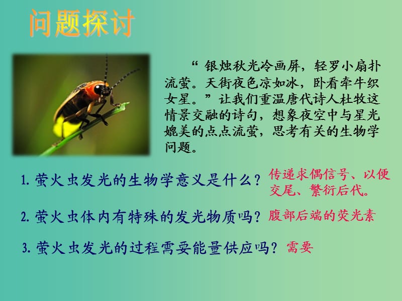 高中生物 第五章 第二节 细胞的能量“通货”-ATP课件 新人教版必修1.ppt_第2页