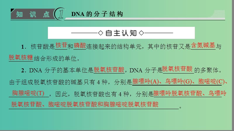 高中生物 第3章 遗传的分子基础 第2节 DNA的分子结构和特点课件 浙科版必修2.ppt_第3页