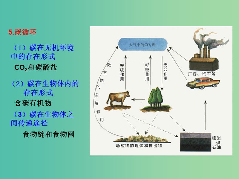 高中生物 专题5.3 生态系统的物质循环课件 新人教版必修3.ppt_第3页