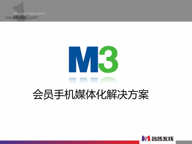 M3会员手机媒体化解决方案.ppt_第2页