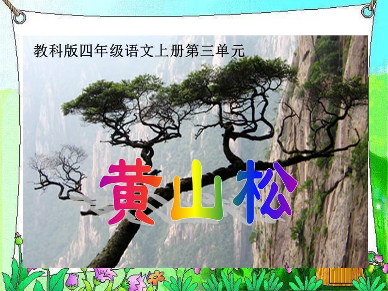 (教科版)四年级语文上册课件黄山松.ppt_第1页