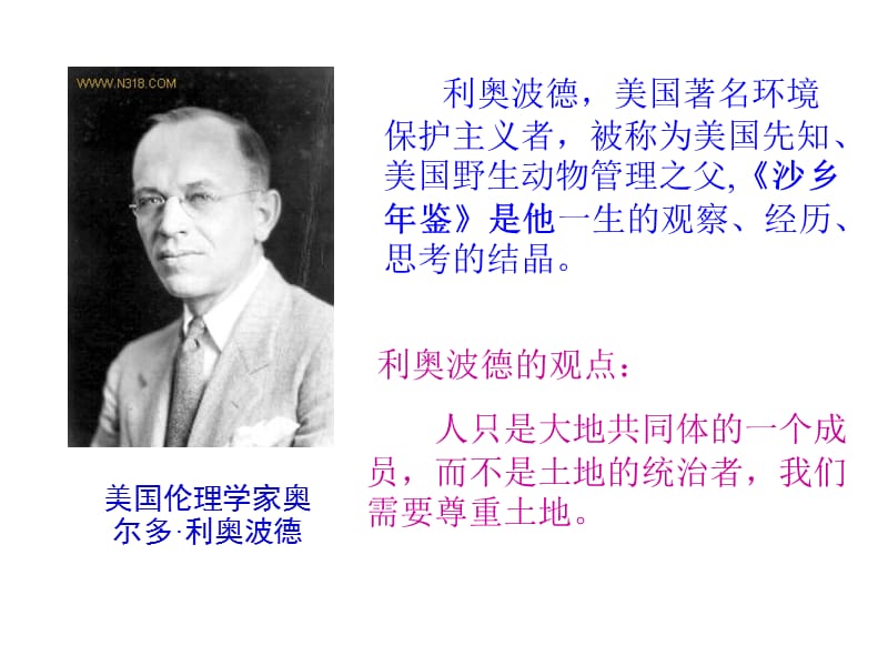 《大雁归来修改》PPT课件.ppt_第3页