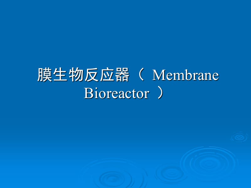 《D膜生物反应器》PPT课件.ppt_第1页