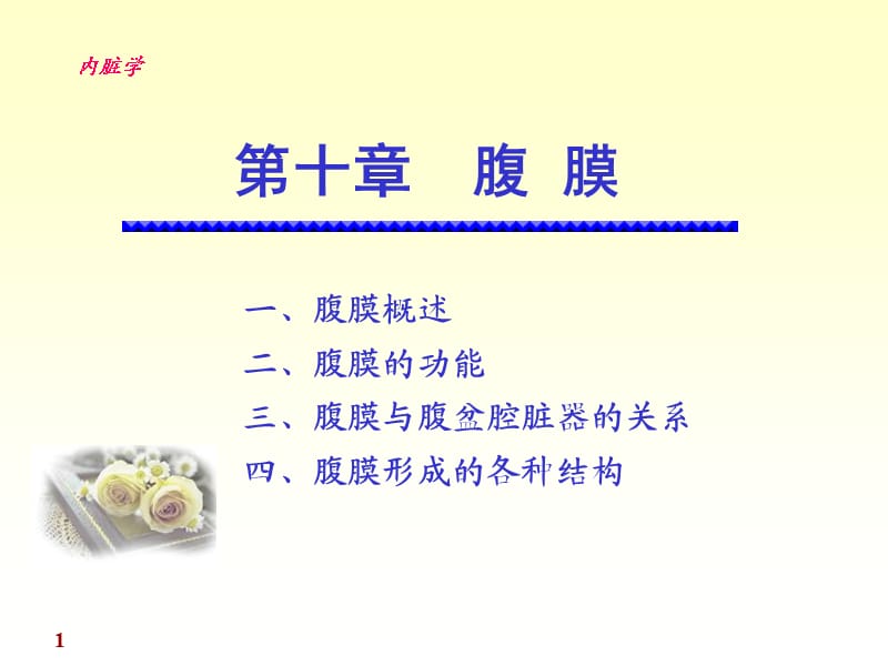 《正常人體解剖學》課件-腹膜.ppt_第1頁