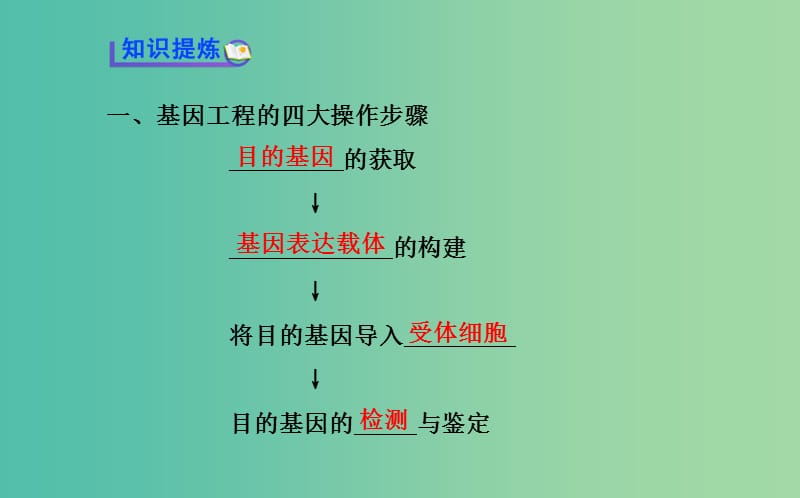 高中生物 精讲优练课型 专题1 基因工程 1.2 基因工程的基本操作程序同课异构课件 新人教版选修3.ppt_第3页