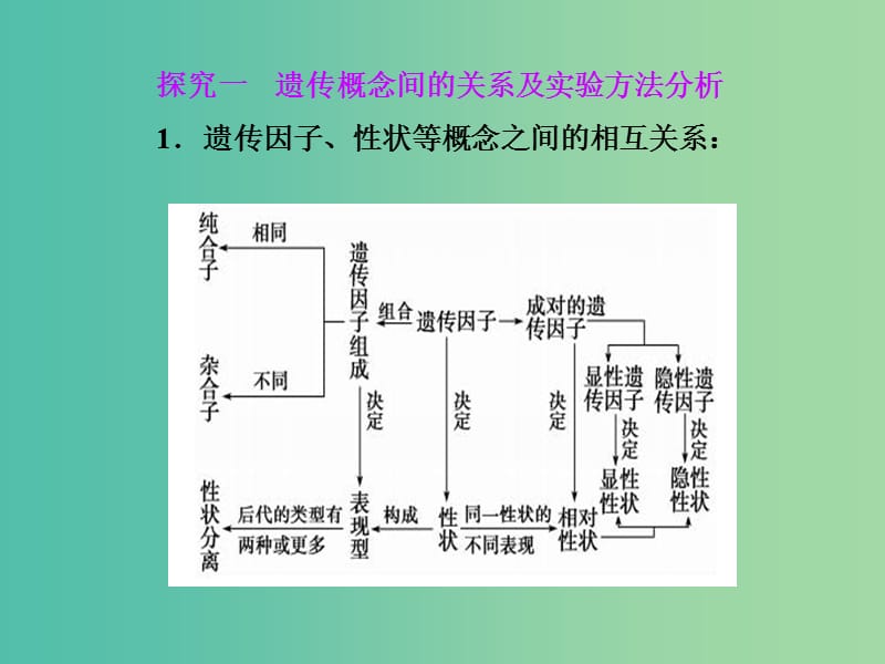 高中生物 第1章 遗传因子的发现 第1节 孟德尔的豌豆杂交实验（一）课件 新人教版必修2.ppt_第3页